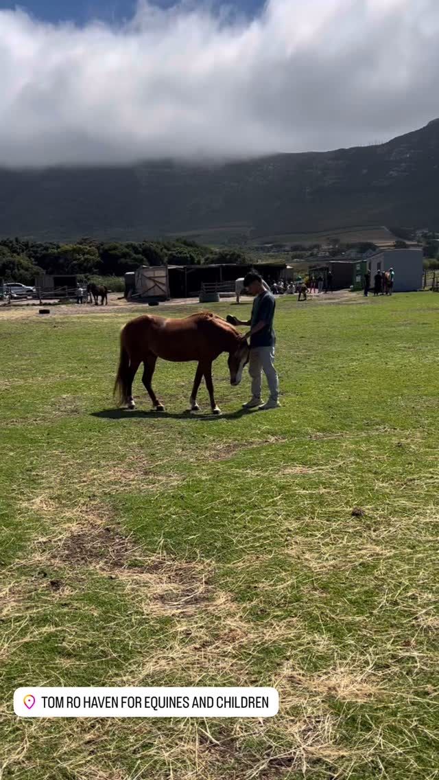 Pang Jun Han volunteering with a horse at Tom Ro Haven, Cape Town, South Africa
